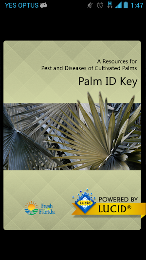 Palm ID Key Screenshot 0