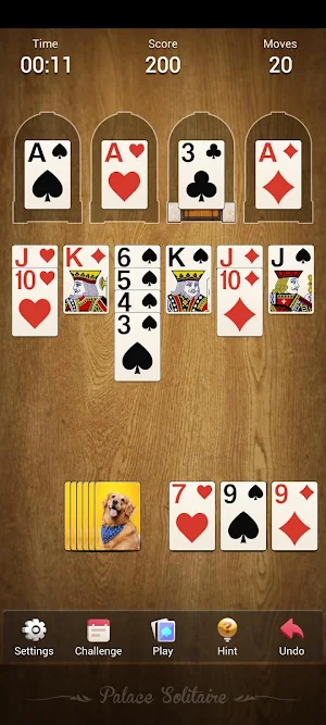 Palace Solitaire - Card Castle Screenshot 3