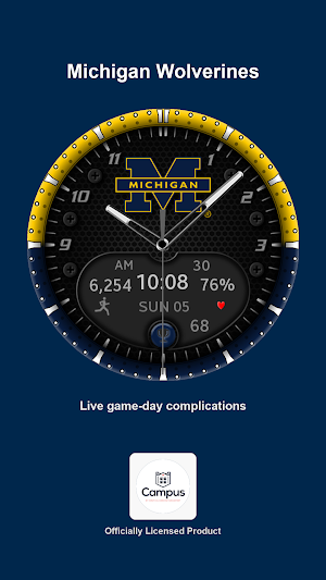 Michigan Premium Watchface Screenshot 0