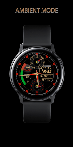 Special Crown Watch by PontON Screenshot 3