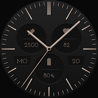 SW2617 Analog Watch