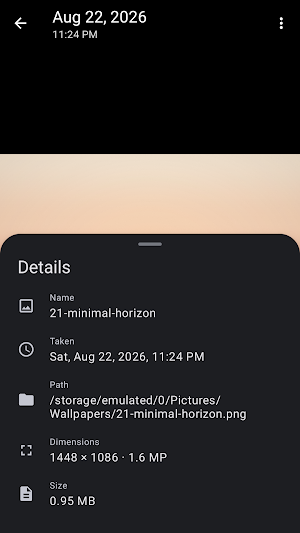 Gallery (offline) Screenshot 0