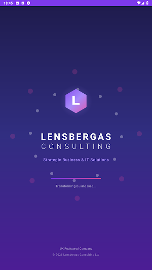 Lensbergas Consulting Screenshot 0