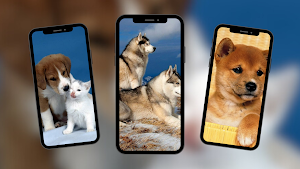 Dogs Wallpaper Screenshot 3