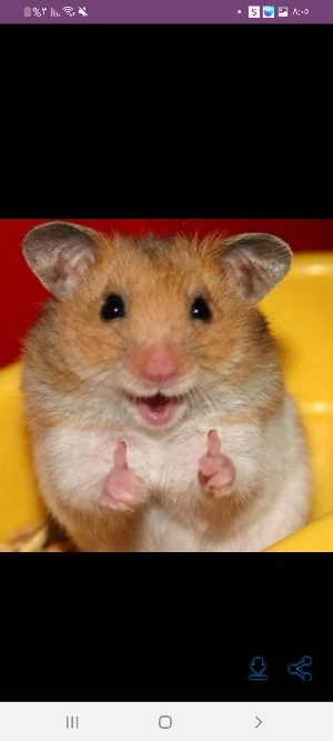 happy _ smile Screenshot 2