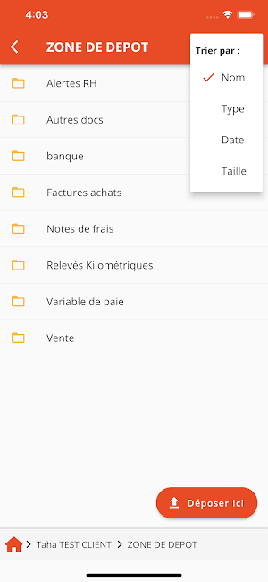 Fiduciaire Conseil Screenshot 1