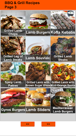 150 Barbecue and Grill Recipes Screenshot 1