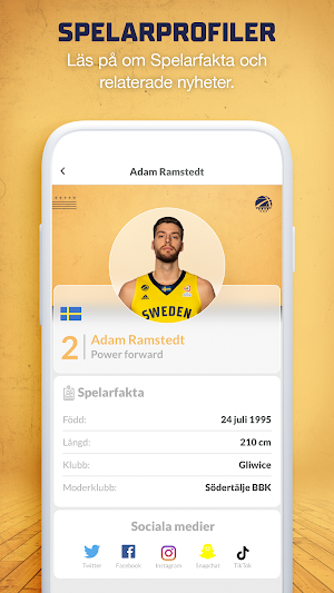 SweBasket Screenshot 2