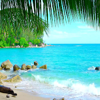 Tropical Night - Nature Sounds for Sleeping