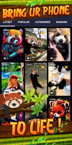 red panda wallpaper Screenshot 1