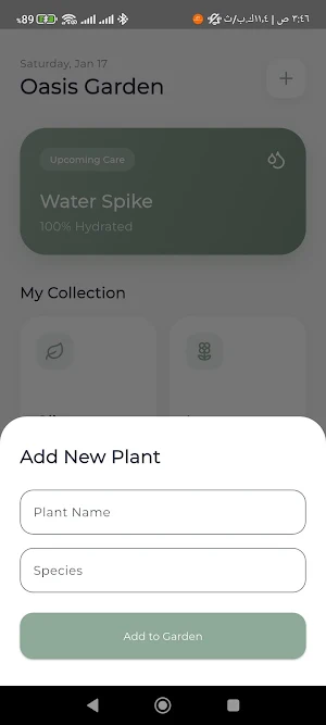 Oasis Plant Screenshot 2