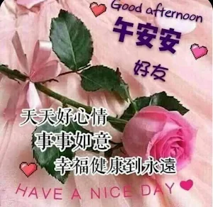 午安，晚安早安 問候圖像和照片的集合，早上和晚上問候的好短語 Screenshot 0