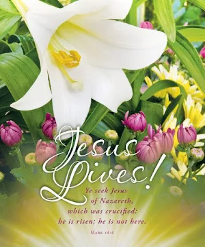 Biblical greetings Screenshot 0