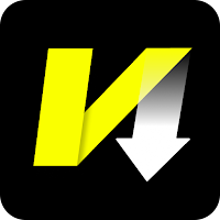All Video Downloader