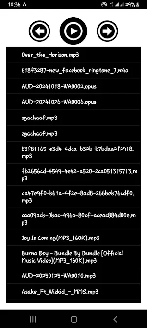 Music Player Screenshot 2