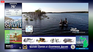 WMVision Screenshot 1