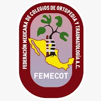 Oficial FEMECOT 2025