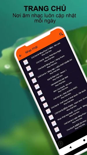 Thần Chú Đại Bi Tiếng Hoa Screenshot 0