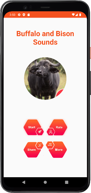 Buffalo and Bison Sounds Screenshot 1