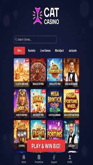 Cat Casino Screenshot 0