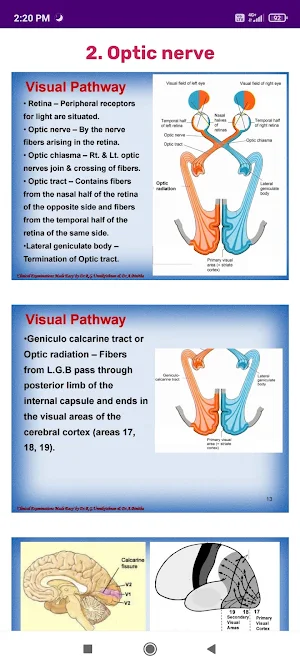 Clinics Master Screenshot 3