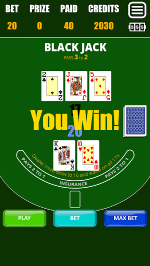 Blackjack 21 Screenshot 3