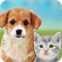 My Cat, Dog Pet Simulator : Virtual Dog Games