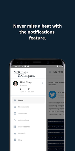 McKinsey Amplify Screenshot 3