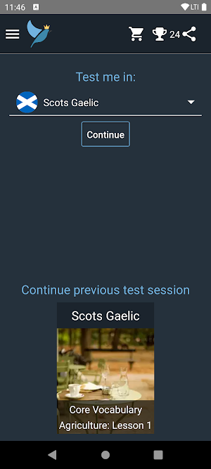 Scots Gaelic Language Tests Screenshot 0