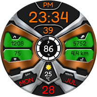 Digital Fnx347 Watch Face