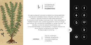 Gyógyító növények számos bajra Screenshot 3