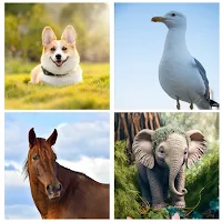 All Animal List With Pictures