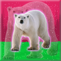 Release Polar Bear From Cage