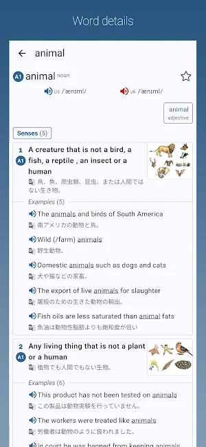 English-Japanese Dictionary JP Screenshot 1