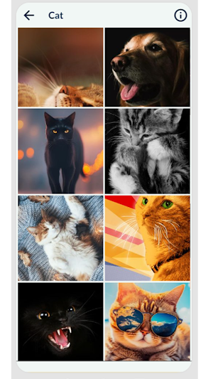 Cat Wallpaper HD Screenshot 1