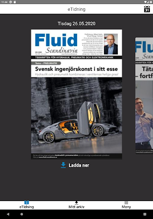 Fluid Scandinavia Screenshot 2