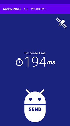 Andro PING Screenshot 1