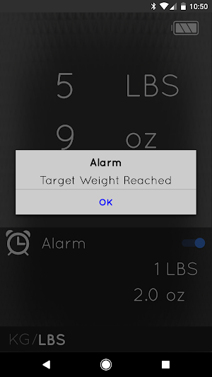 UEi Scale Screenshot 3