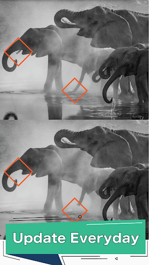Hunt Differences: Seek & Spot Screenshot 2