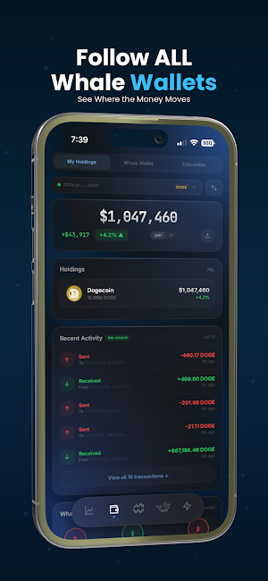 Market Mirror Screenshot 2