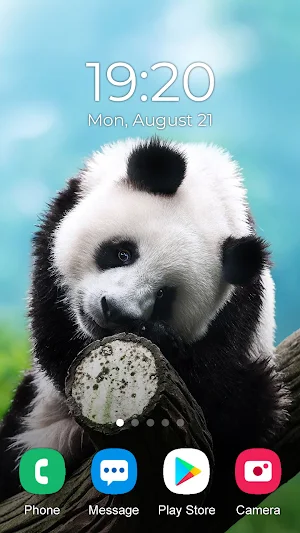 Panda Wallpaper 2023 Screenshot 2