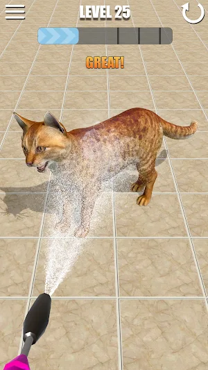 ASMR Car Wash: Power Washing Screenshot 2