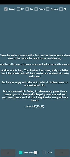 RSVCE Bible Verses Screenshot 3