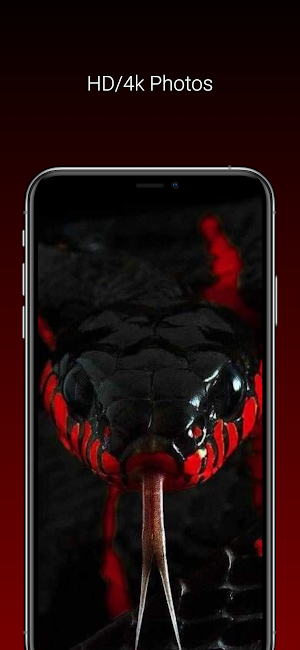 Cool snake wallpaper hd/4k Screenshot 0