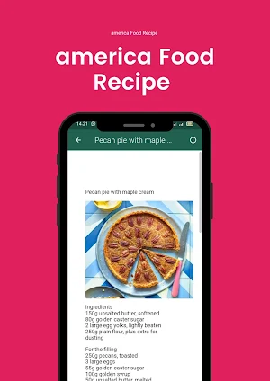 american food recipes offline Screenshot 0