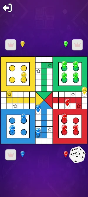 Ludo and Snake Ladder Rush Screenshot 2