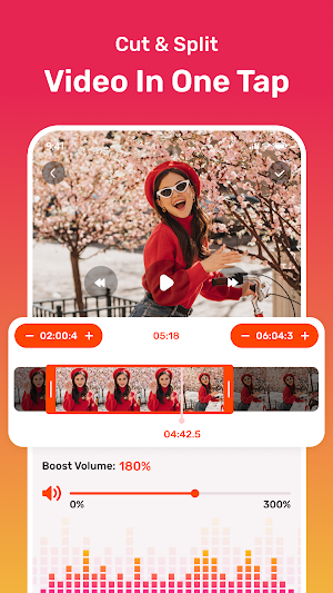 Video to Mp3 Converter Screenshot 2