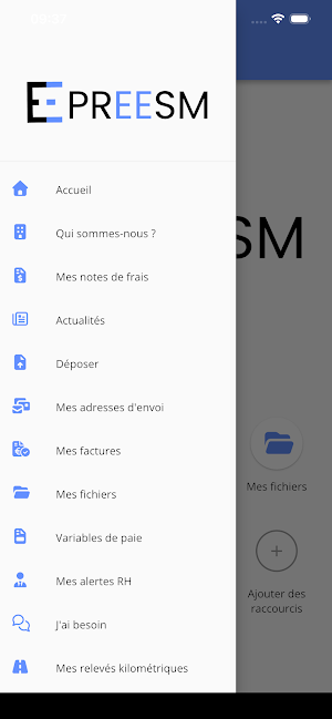 Preesm Group Screenshot 2