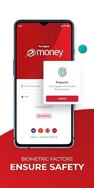 eMoney Agent Screenshot 3