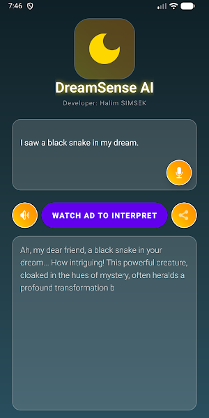 DreamSense Screenshot 3